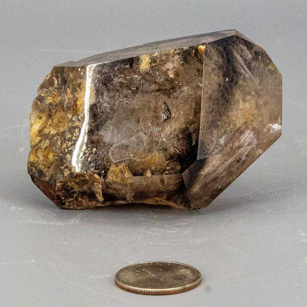 Skeletal Elestial Smoky Quartz Enhydro