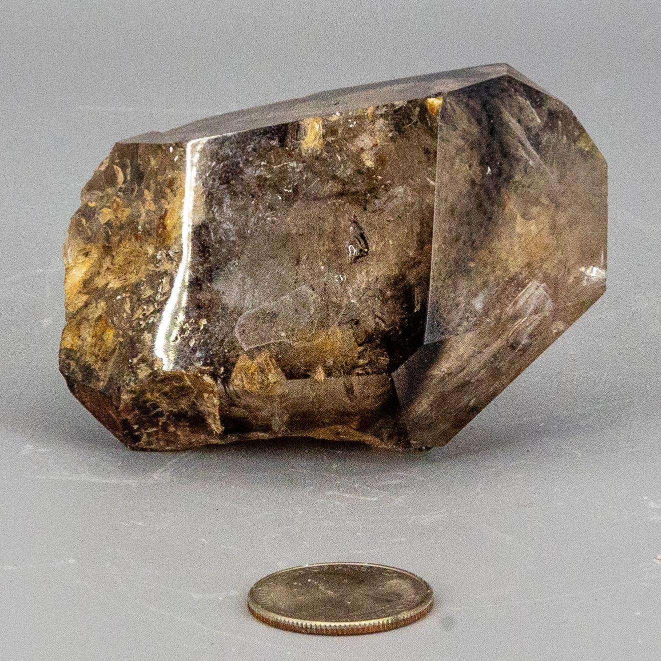 Skeletal Elestial Smoky Quartz Enhydro