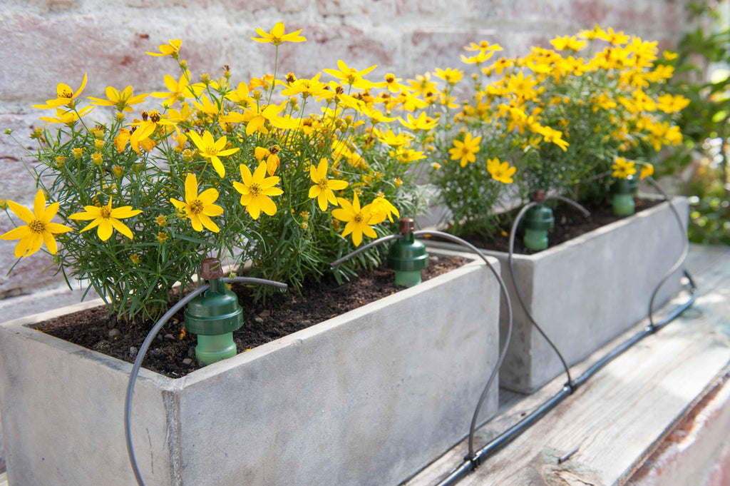Blumat Automatic Watering Kit – 12 Plant Set