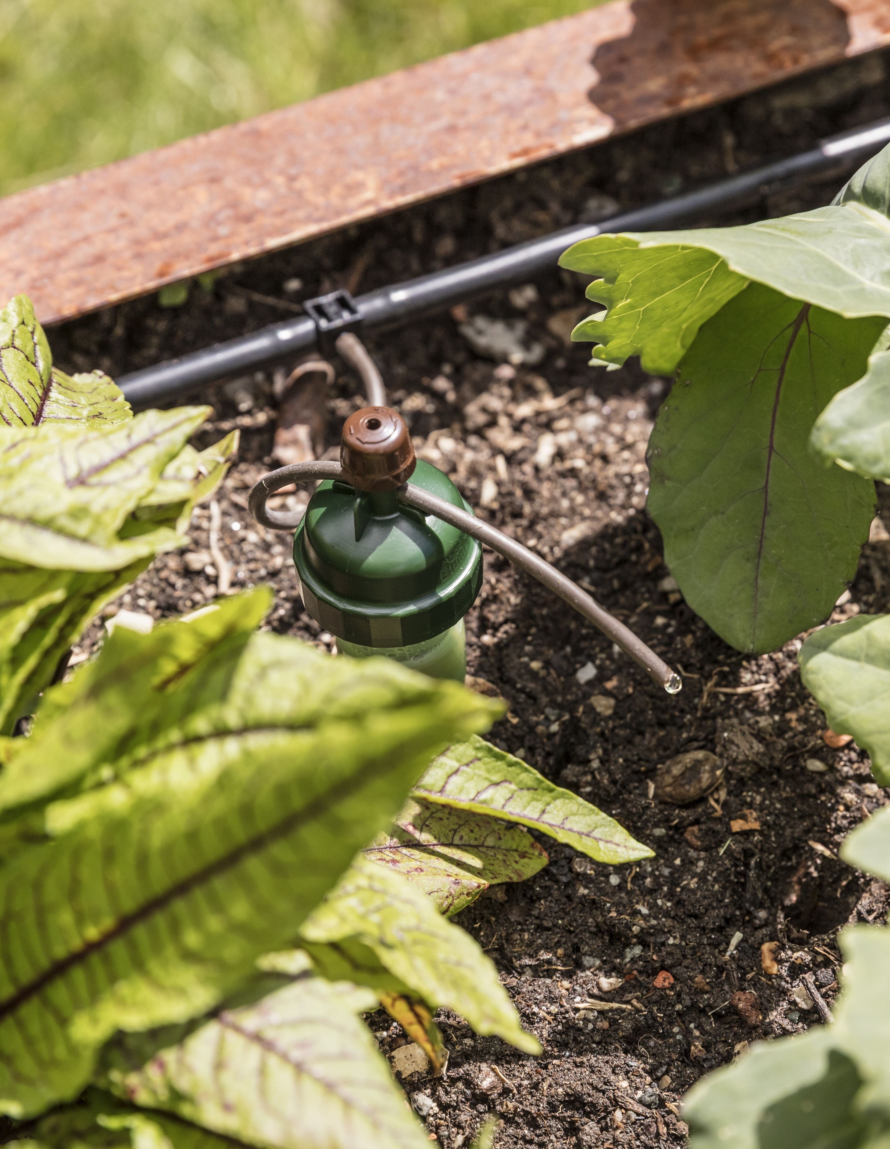 Blumat Automatic Watering Kit – 40 Plant Set by Blumat Drip
