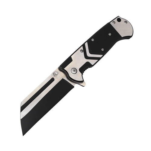 2-Pack: 3.75" Spring-Assisted Knife by DailySale