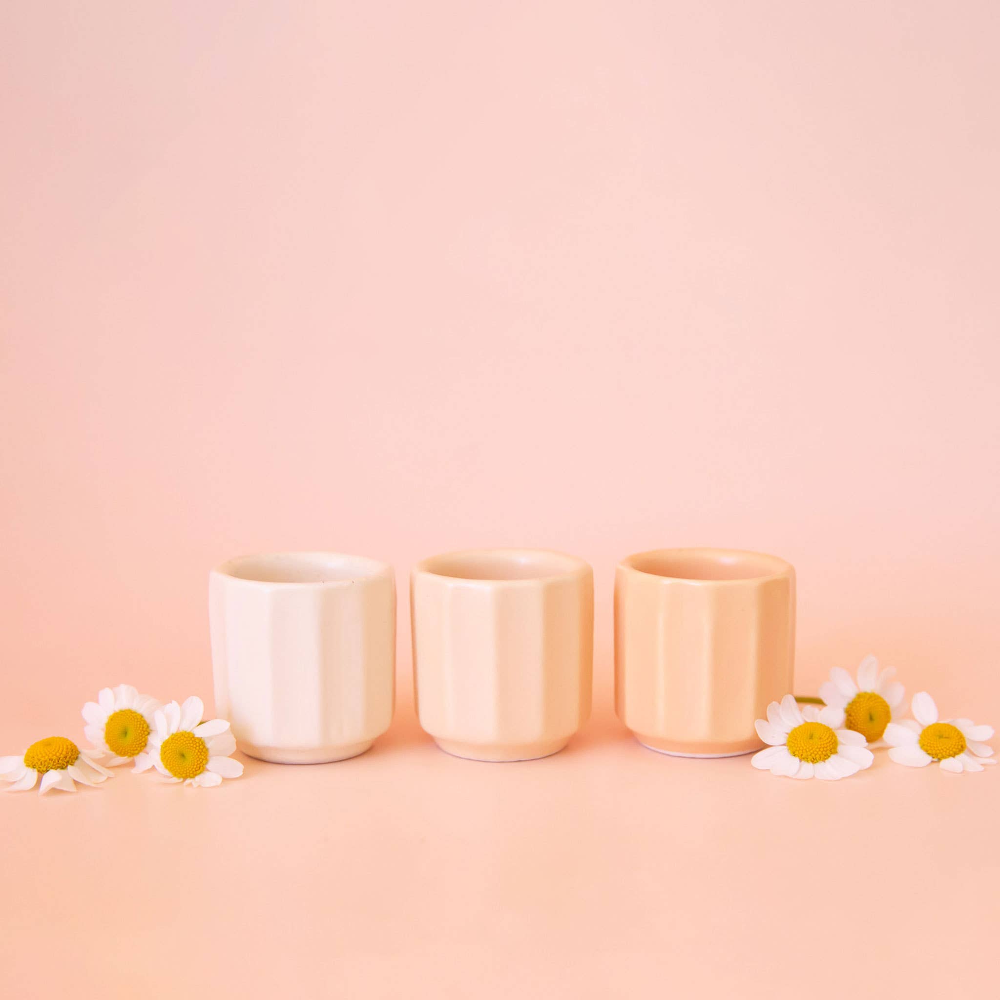 Mini Monroe Planter by Terra Cotta Botanical Boutique