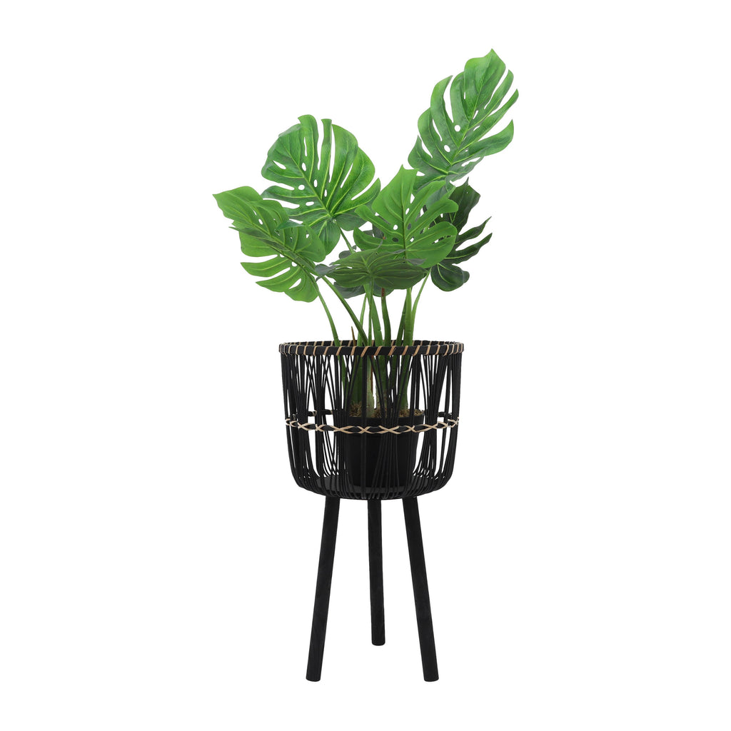 Bamboo Tripod Base Planters by Terra Cotta Botanical Boutique