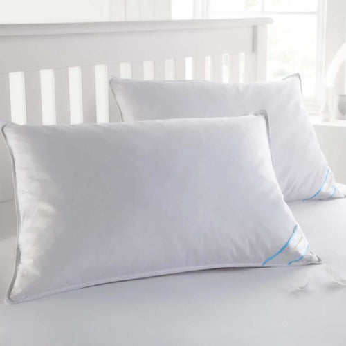 Beauty Sleep 100% Cotton-Covered Duck Feather Pillows by DailySale