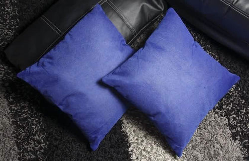 2-Pack: Blue Throw Pillows by DailySale