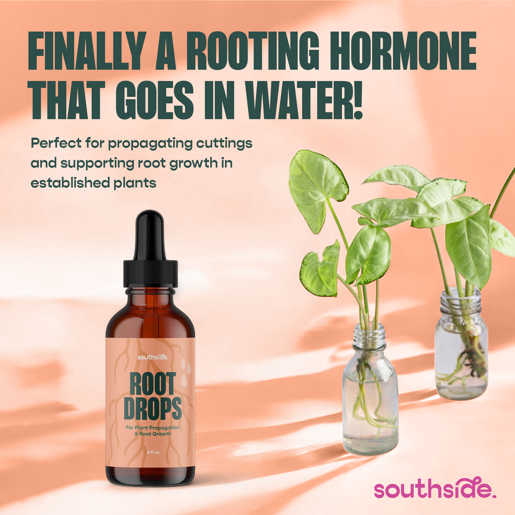 Root Drops - For Propagations & Repotting by Terra Cotta Botanical Boutique