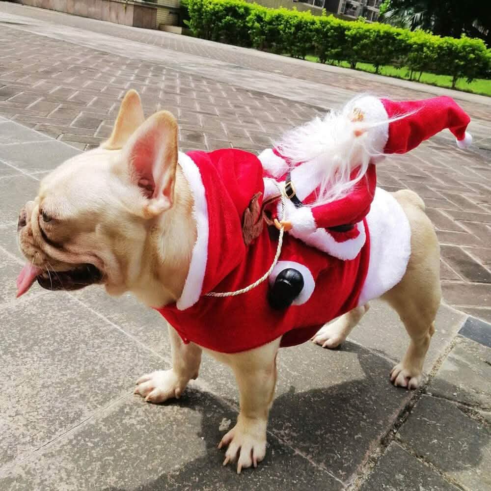 Dog Costume Christmas Pet Clothes by DailySale