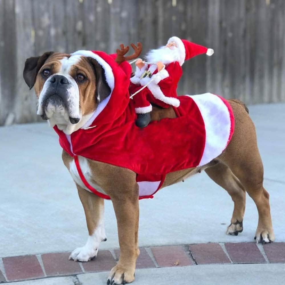 Dog Costume Christmas Pet Clothes by DailySale