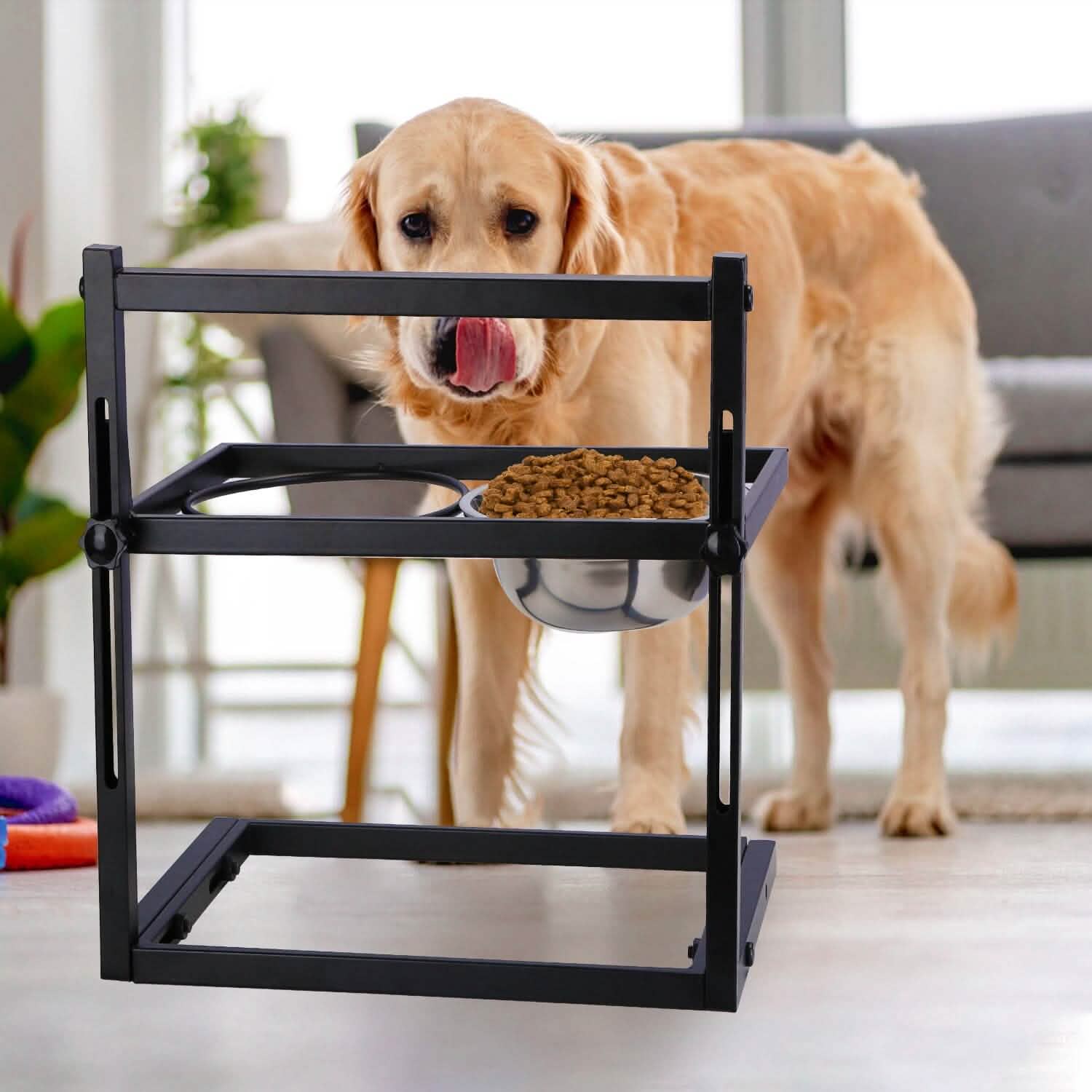Dog Raised Bowls with Adjustable Height Stainless Steel by DailySale