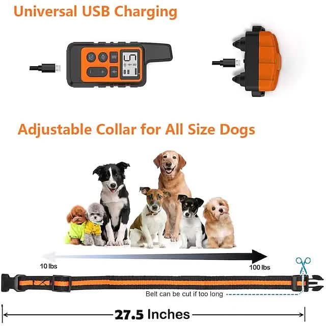 Dog Training Shock Collar by DailySale