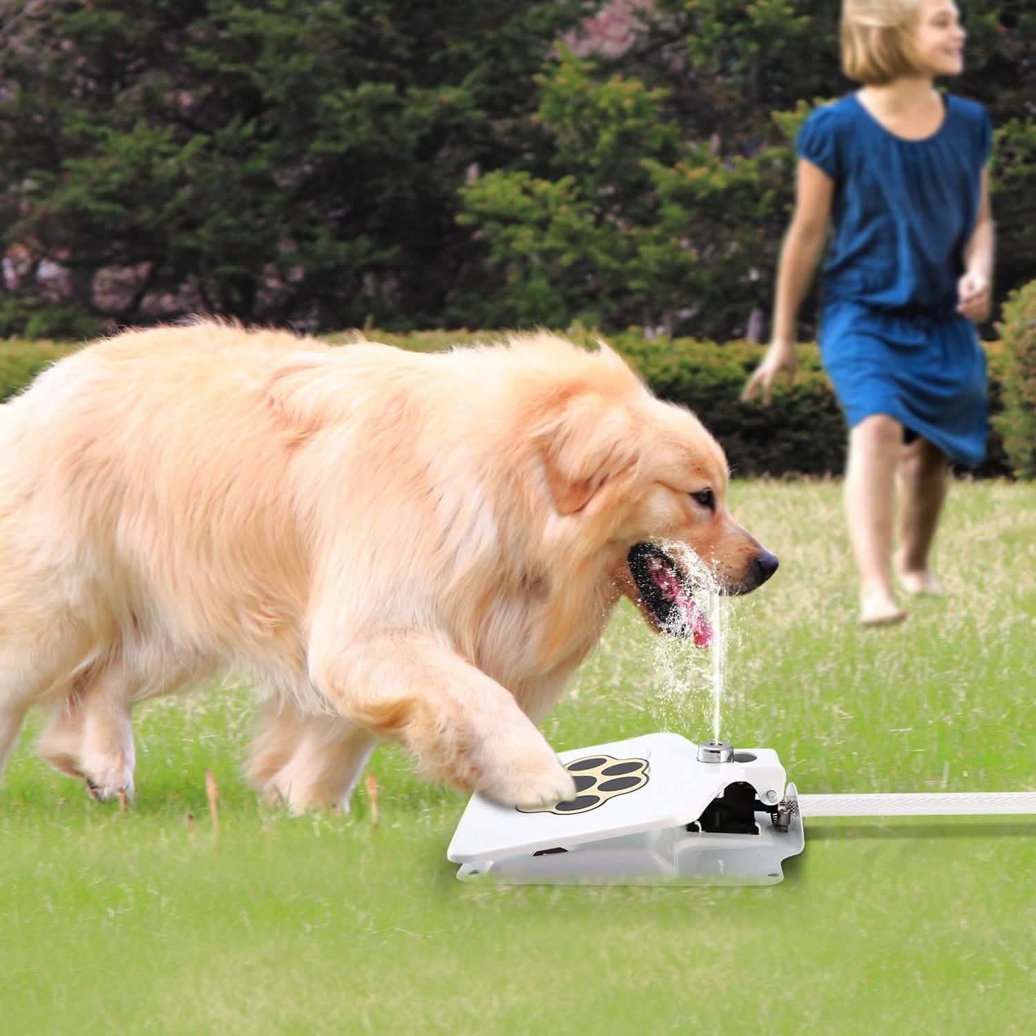 Dog Water Fountain by DailySale