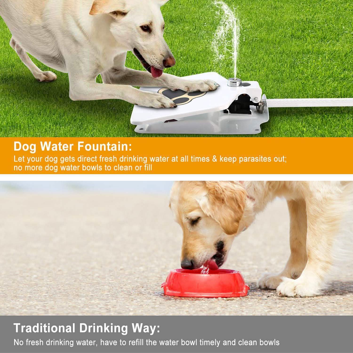 Dog Water Fountain by DailySale
