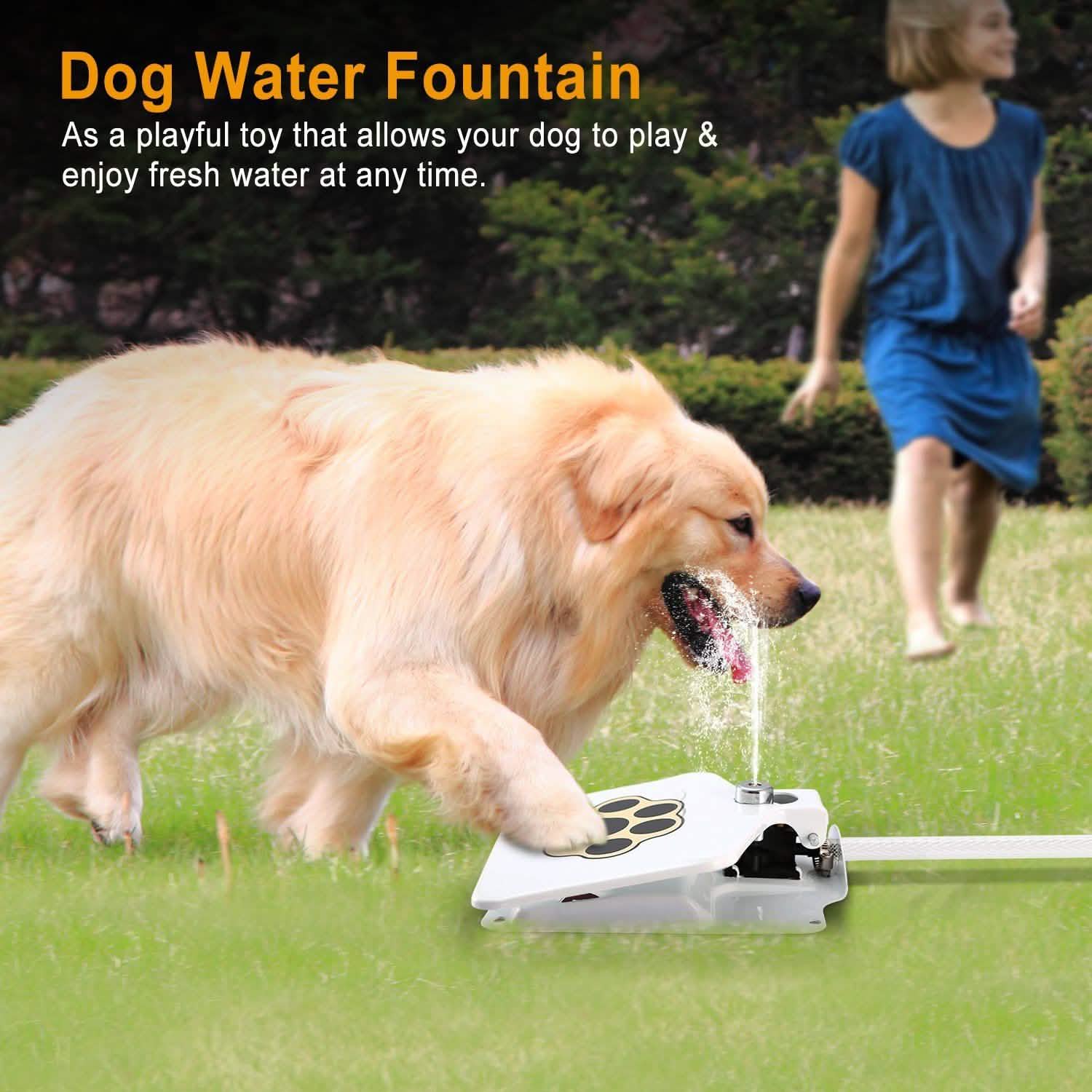 Dog Water Fountain by DailySale