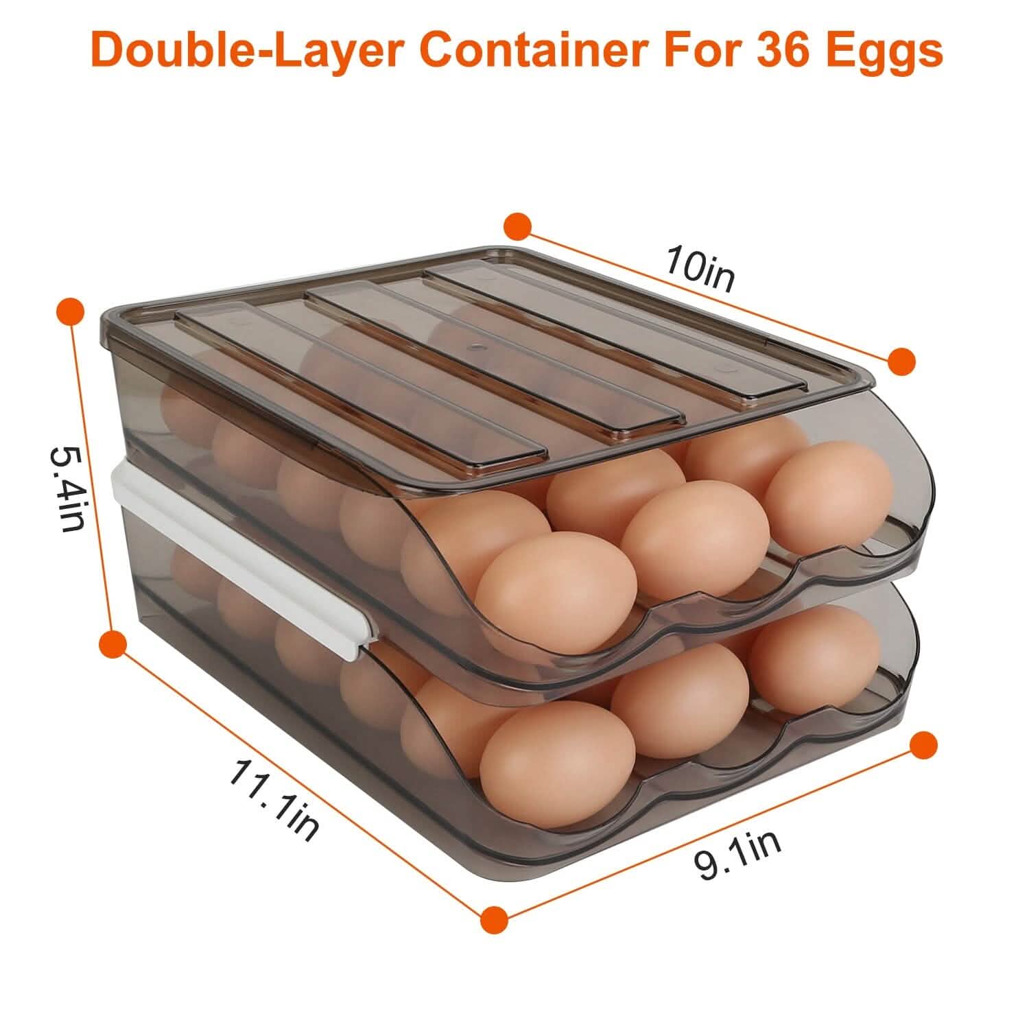 Double Layer Egg Storage for Refrigerator by DailySale