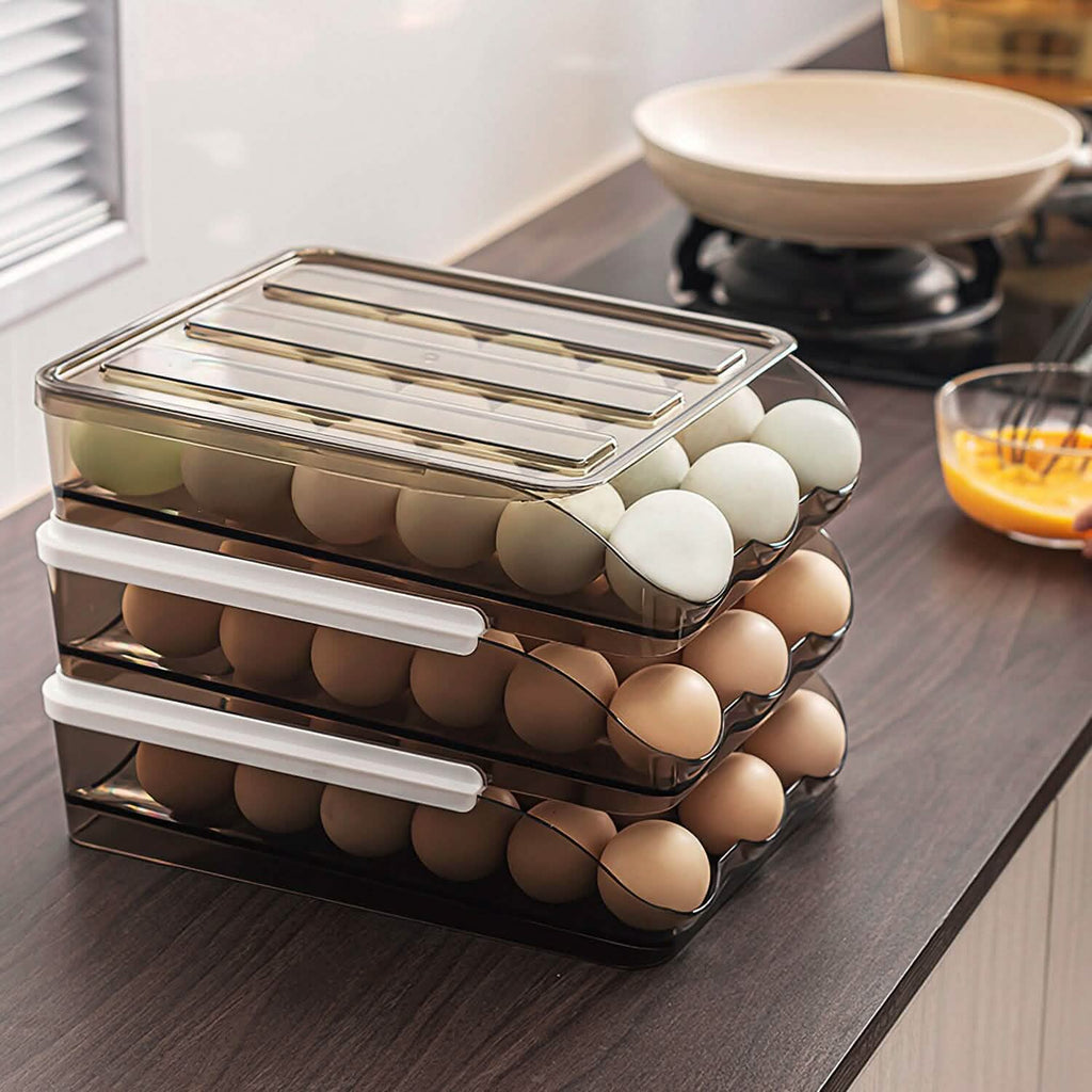 Double Layer Egg Storage for Refrigerator by DailySale