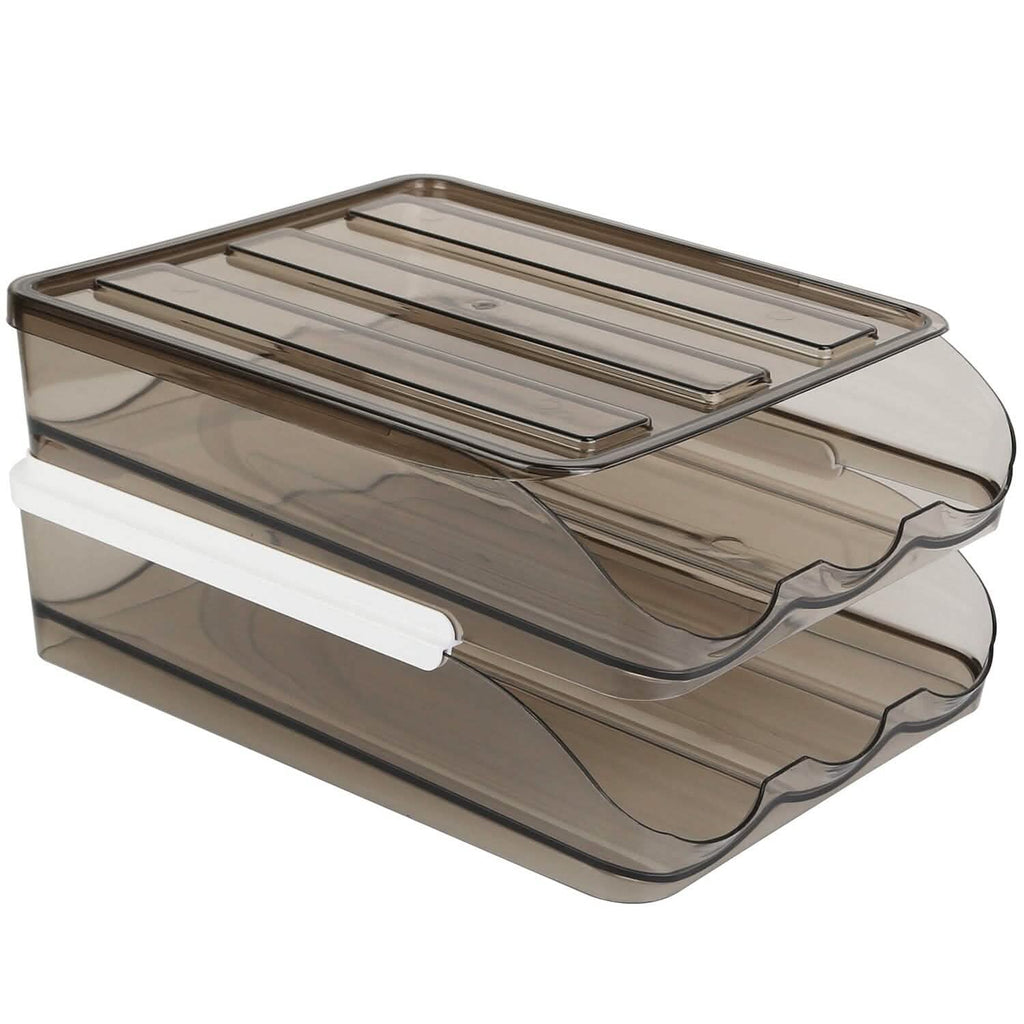 Double Layer Egg Storage for Refrigerator by DailySale