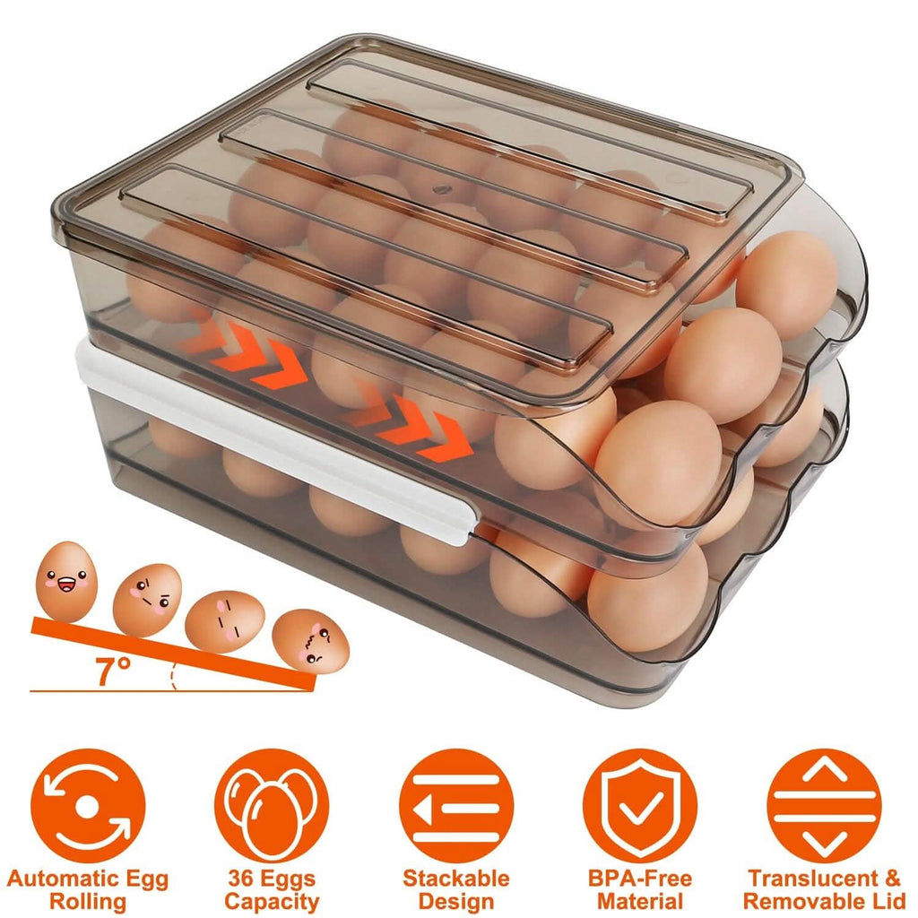 Double Layer Egg Storage for Refrigerator by DailySale