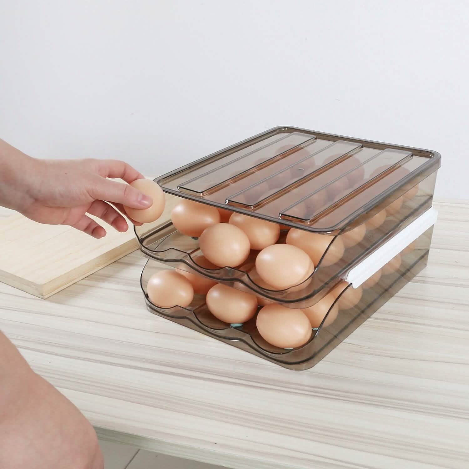 Double Layer Egg Storage for Refrigerator by DailySale