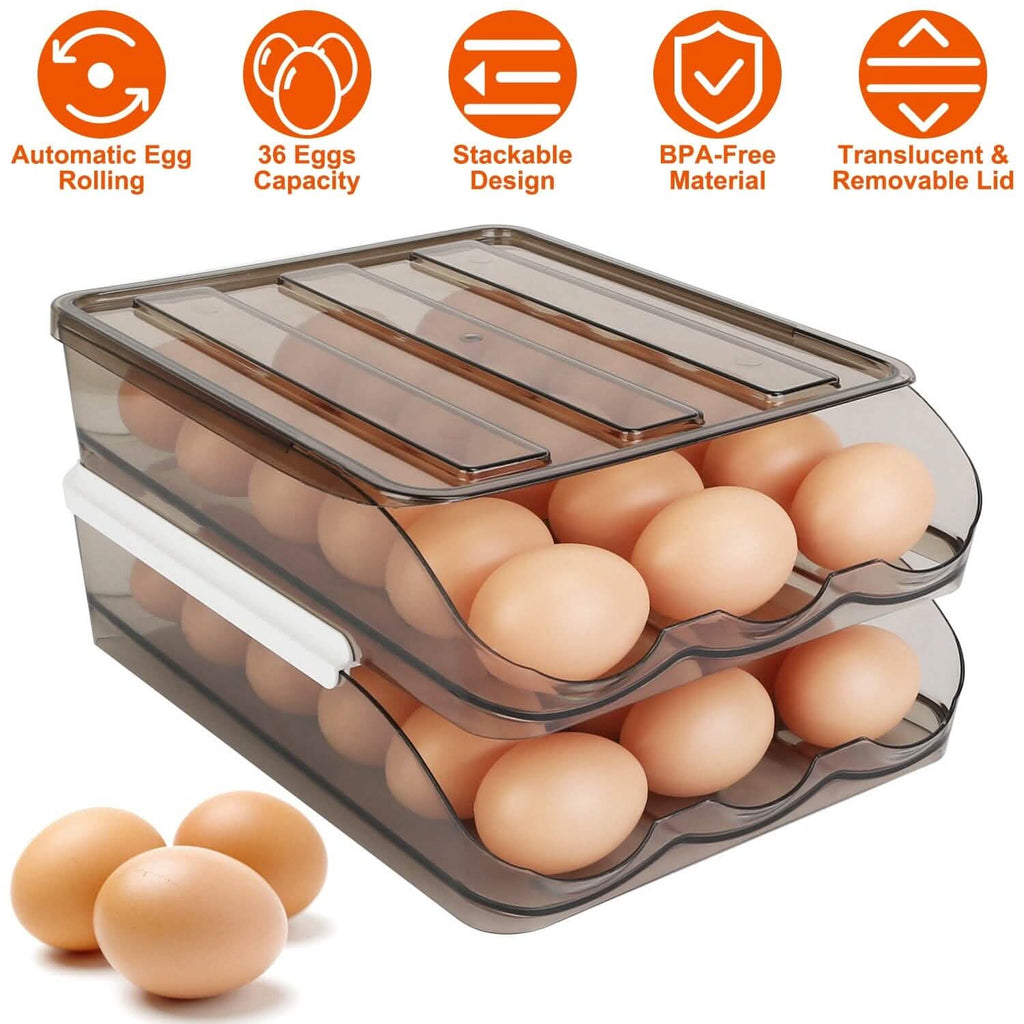 Double Layer Egg Storage for Refrigerator by DailySale