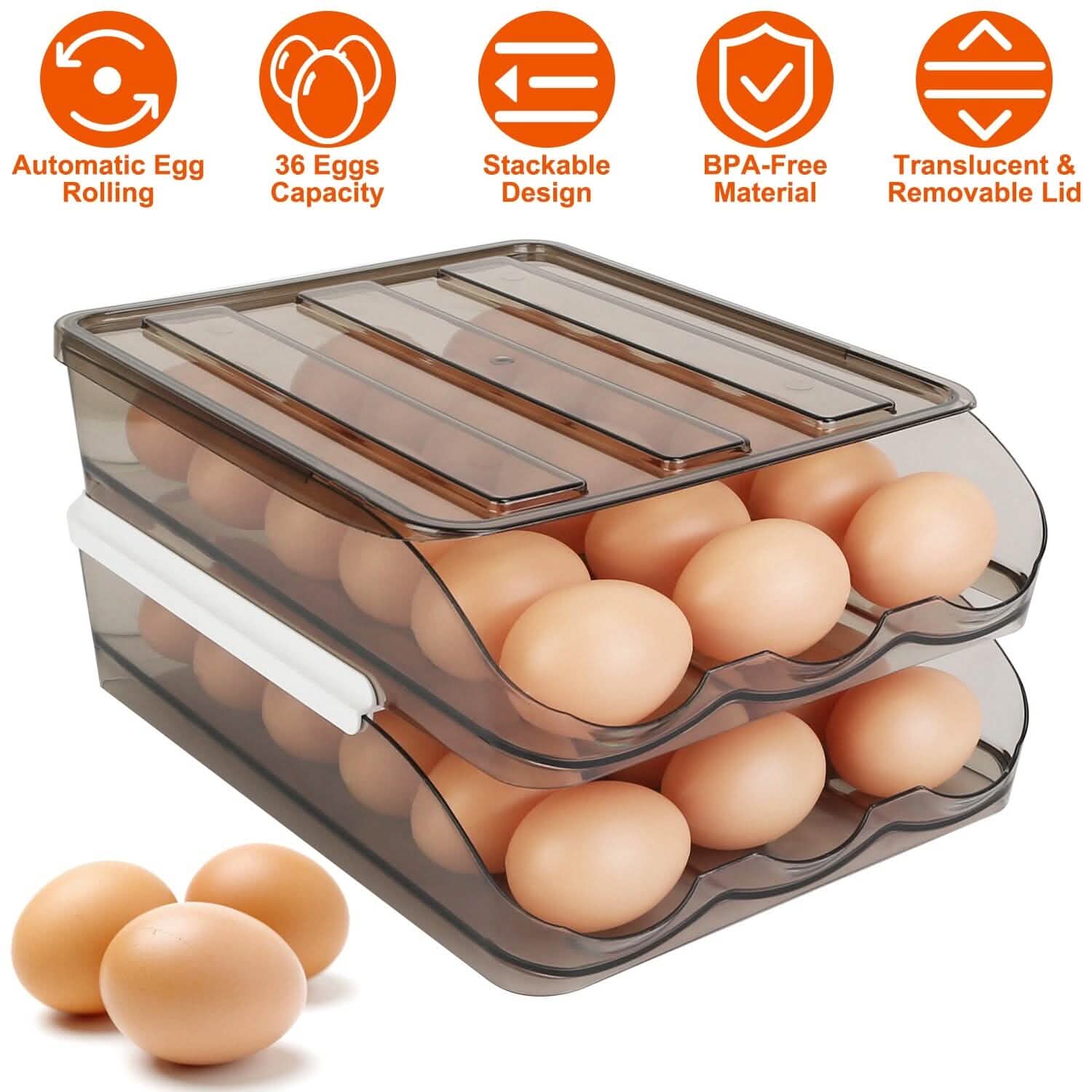 Double Layer Egg Storage for Refrigerator by DailySale