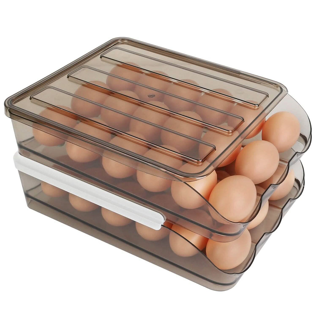 Double Layer Egg Storage for Refrigerator by DailySale
