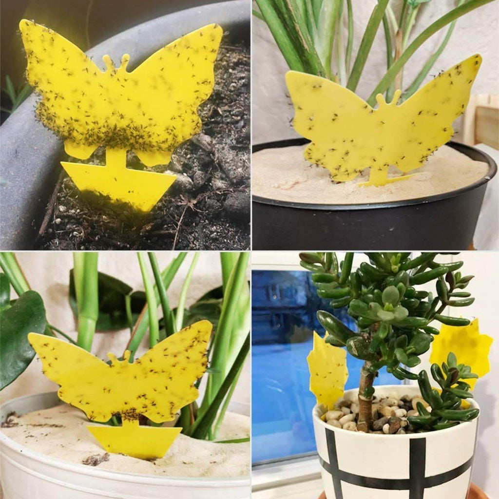 Double-Sided Flying Insect Yellow Sticky Trap by DailySale