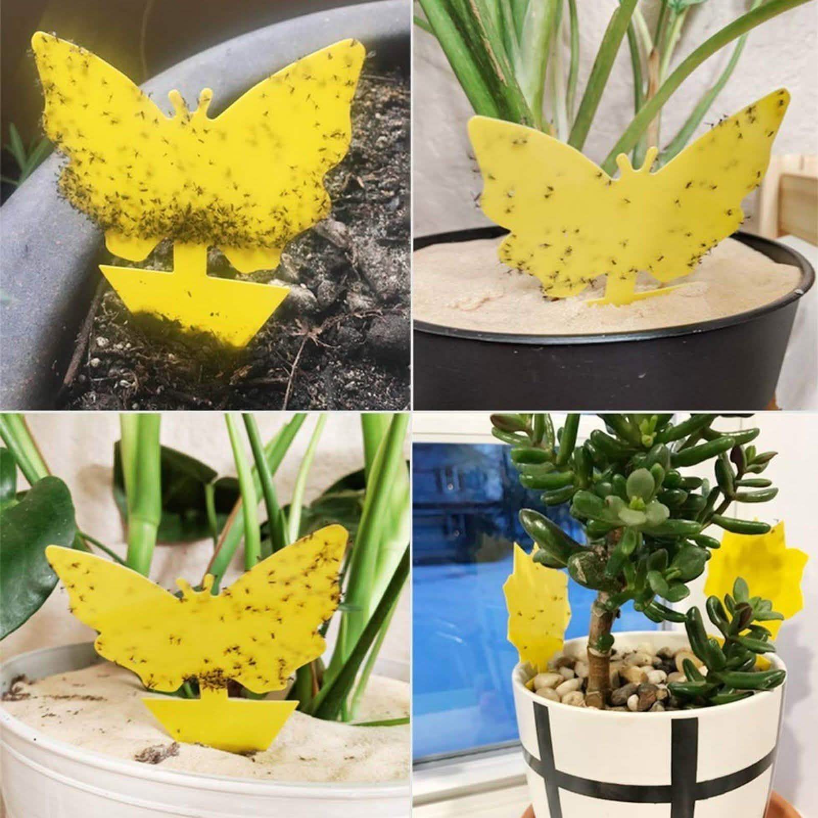 Double-Sided Flying Insect Yellow Sticky Trap by DailySale