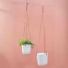 Doni Plant Hanger