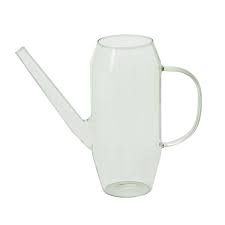 Foray Watering Can by Terra Cotta Botanical Boutique