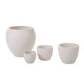 Newport Pot by Terra Cotta Botanical Boutique