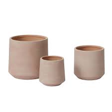 Luciana Pot by Terra Cotta Botanical Boutique