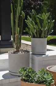 Dionne Pot with Saucer