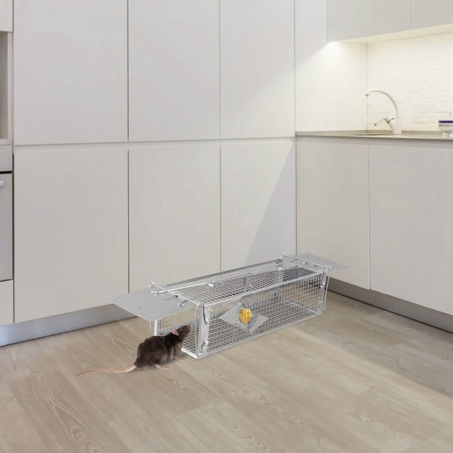 Dual Door Rat Trap Cage Humane with 2 Detachable U Shape Rod by DailySale