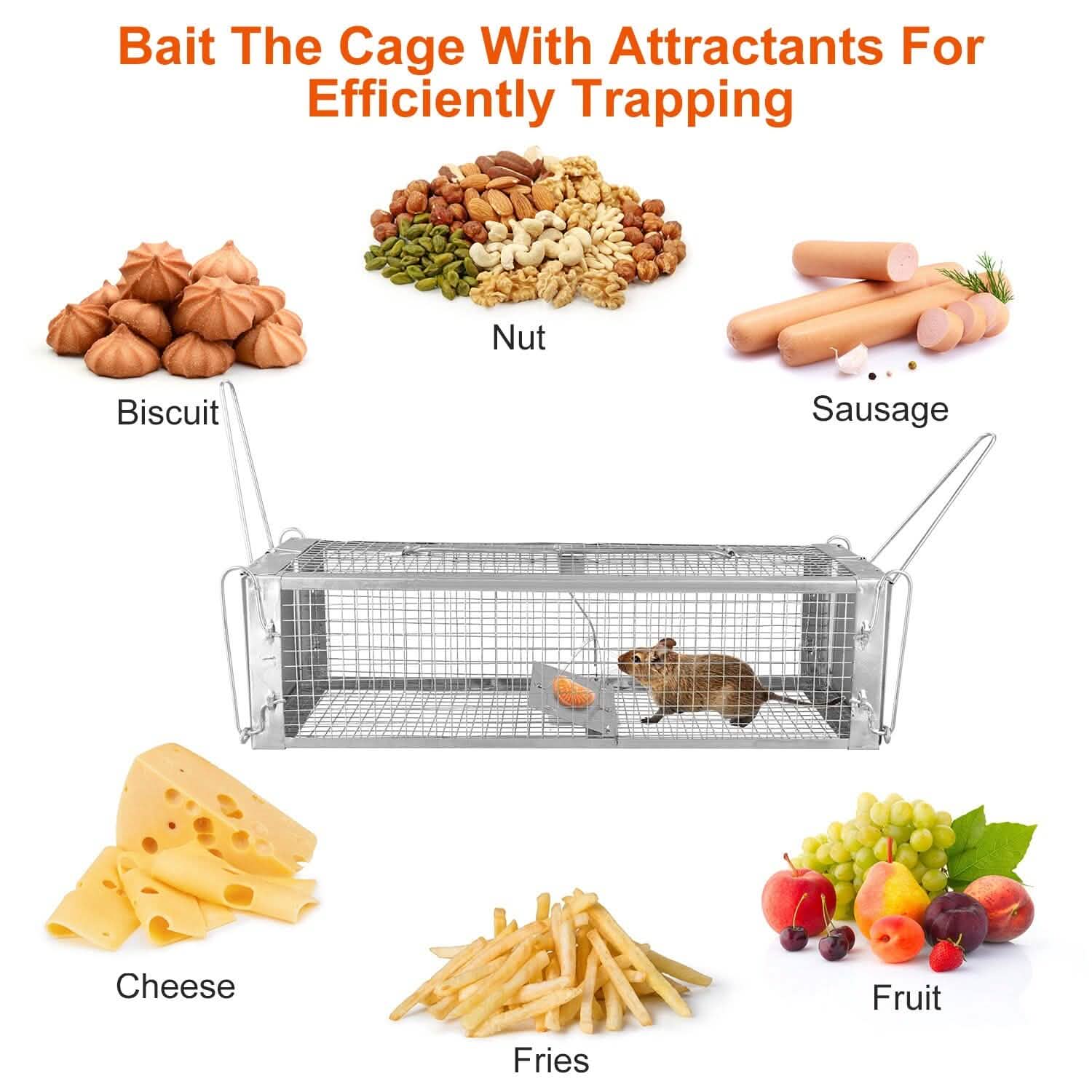 Dual Door Rat Trap Cage Humane with 2 Detachable U Shape Rod by DailySale
