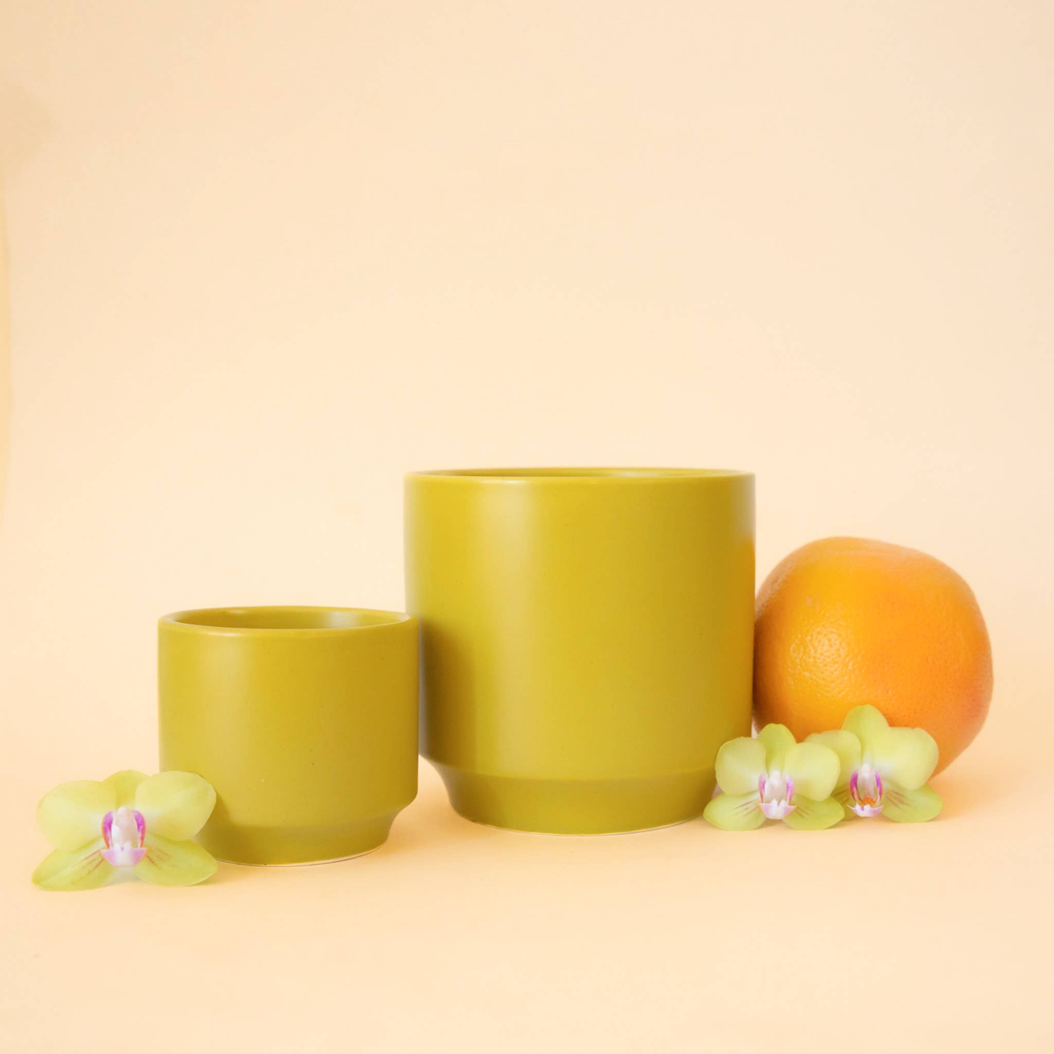 Parker Planter | Palm Speckle by Terra Cotta Botanical Boutique