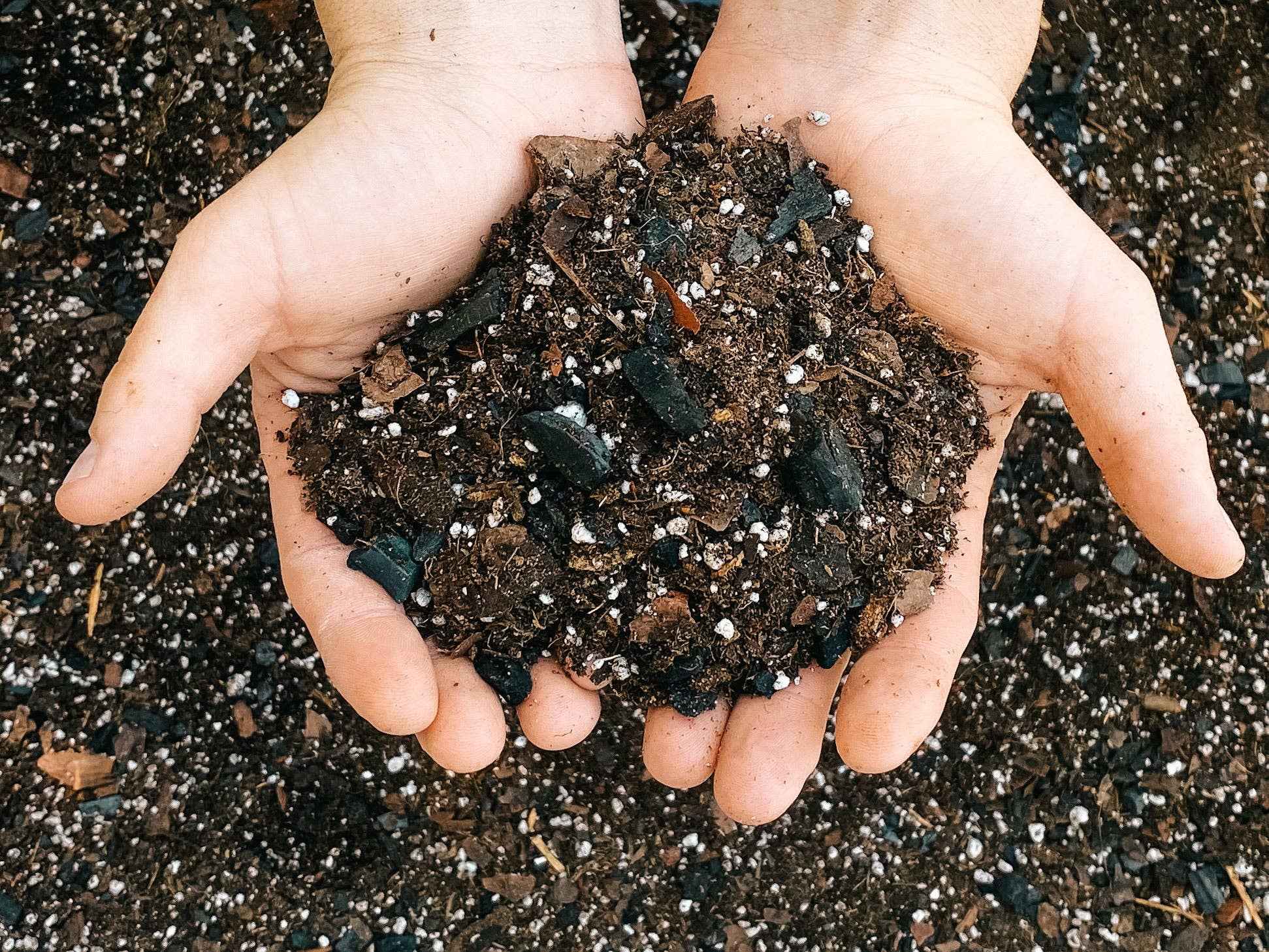 Dirt Bag: 1 Gallon