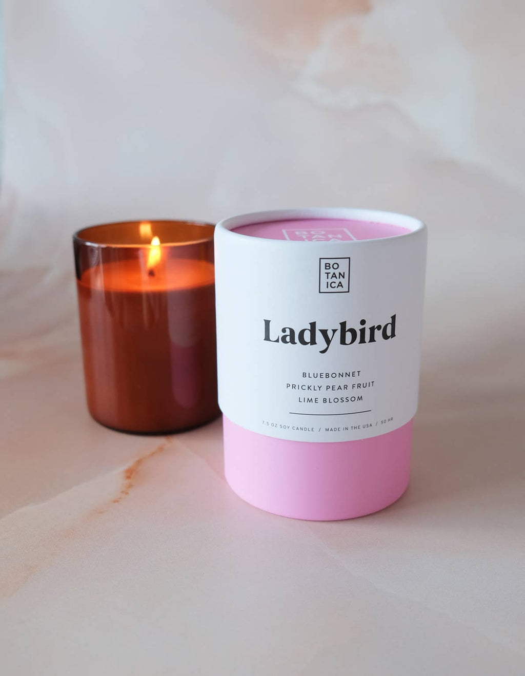 Ladybird Medium Candle | 7.5oz by Terra Cotta Botanical Boutique