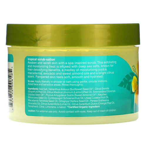 Alba Botanica Sea Salt Body Scrub (1x14.5 Oz) by Alba Botanica