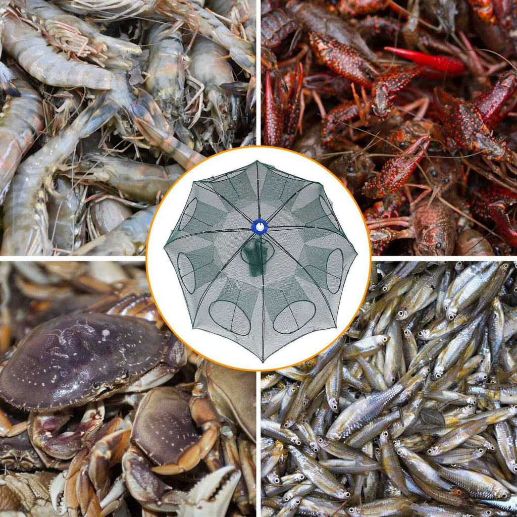 Foldable Fishing Bait Net Trap by DailySale