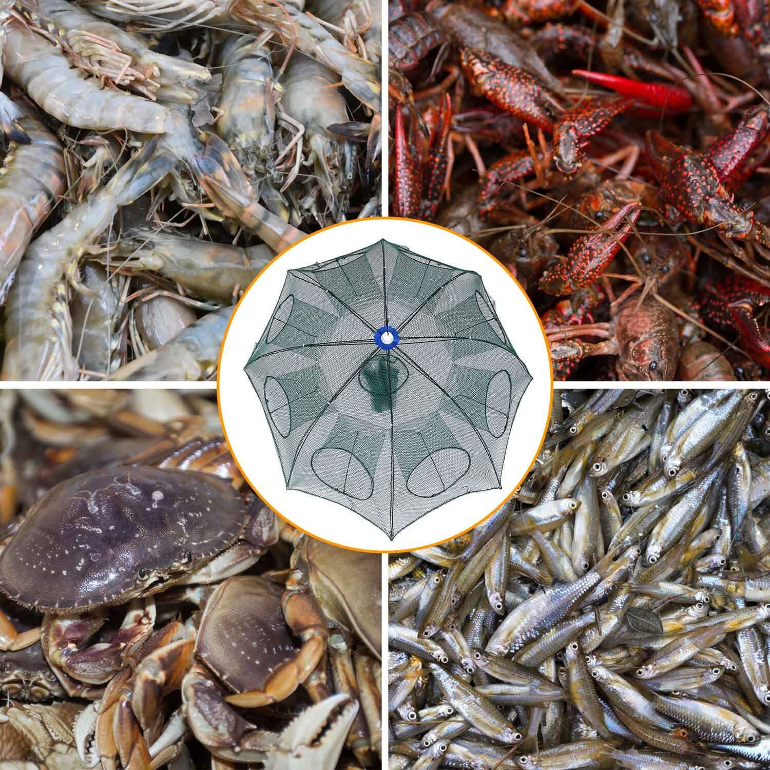 Foldable Fishing Bait Net Trap by DailySale