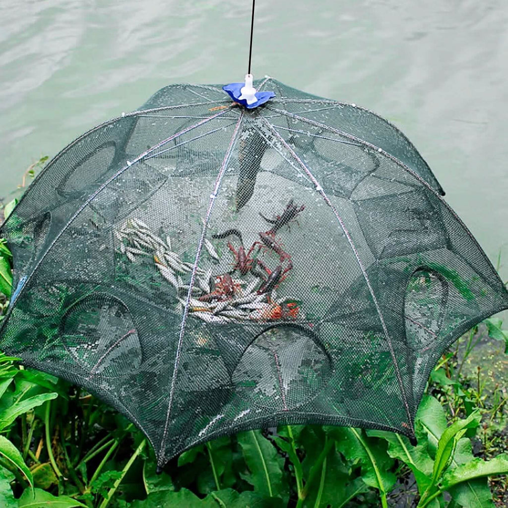 Foldable Fishing Bait Net Trap by DailySale
