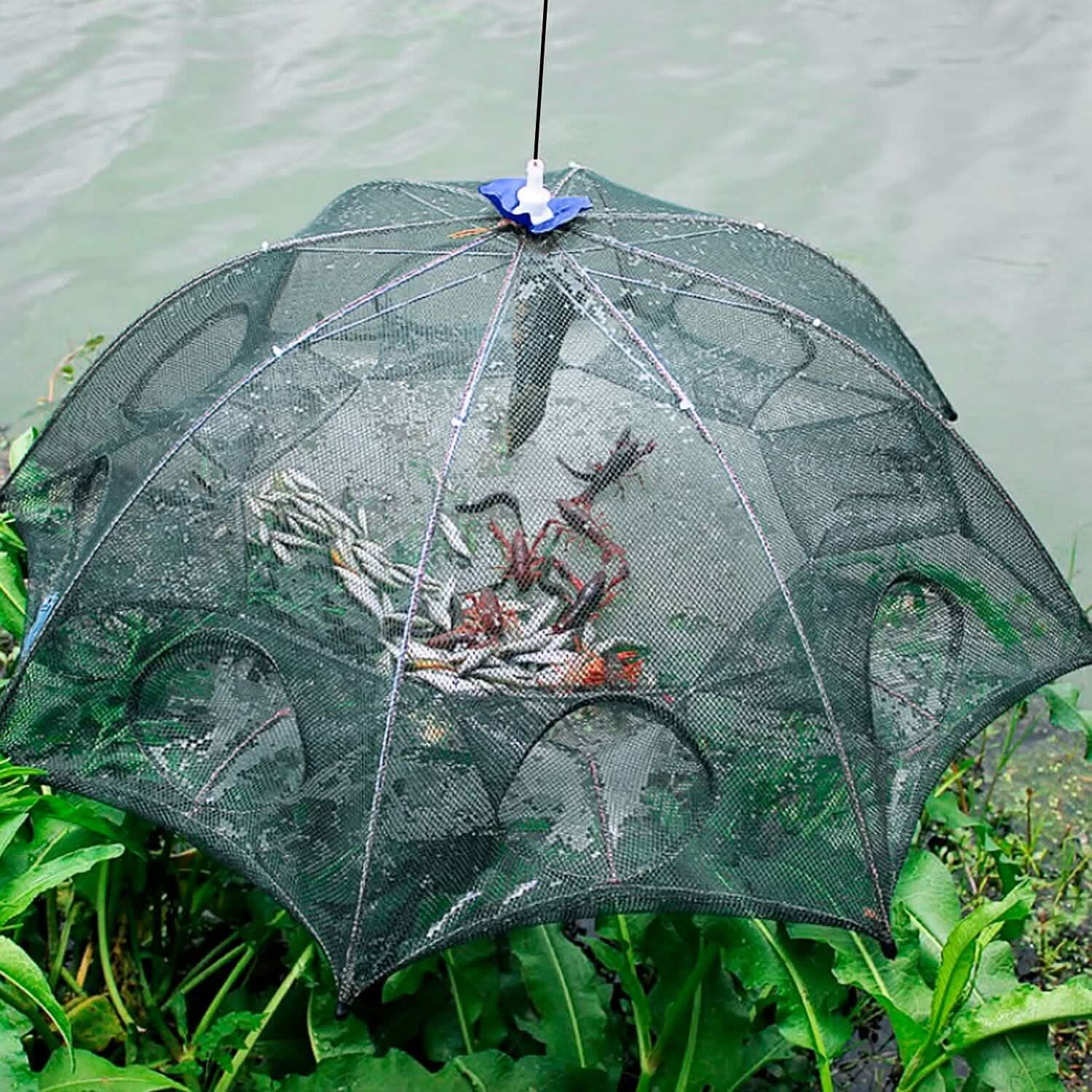 Foldable Fishing Bait Net Trap by DailySale