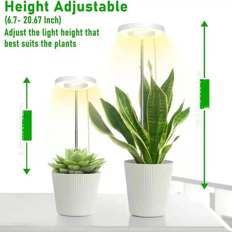 Full Spectrum LED Halo Plant Light With Stand Height Adjustable Auto Timer by DailySale