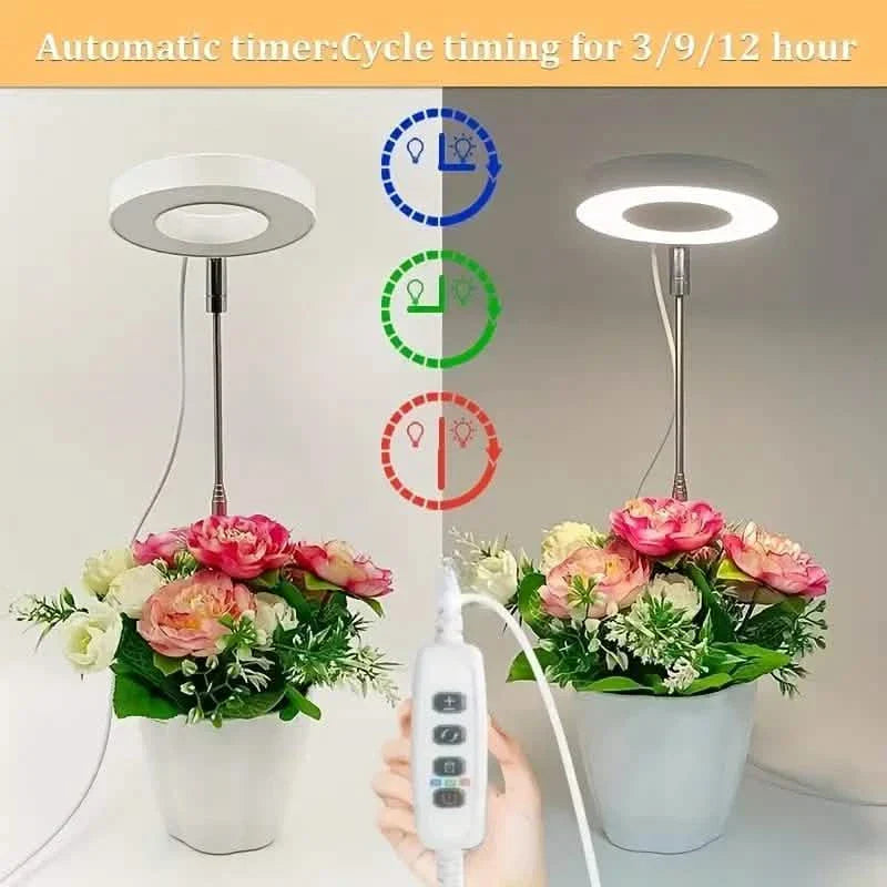 Full Spectrum LED Halo Plant Light With Stand Height Adjustable Auto Timer by DailySale