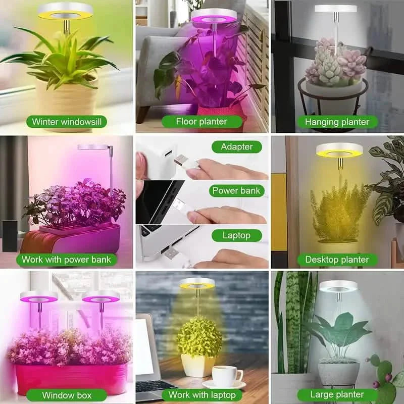 Full Spectrum LED Halo Plant Light With Stand Height Adjustable Auto Timer by DailySale