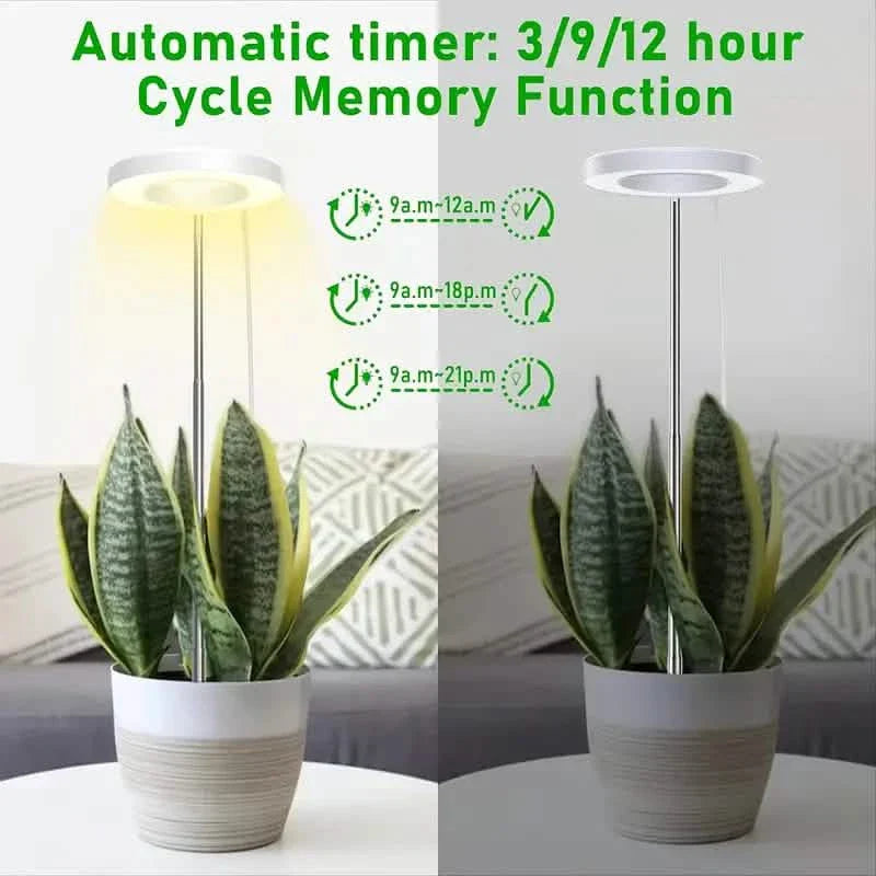 Full Spectrum LED Halo Plant Light With Stand Height Adjustable Auto Timer by DailySale