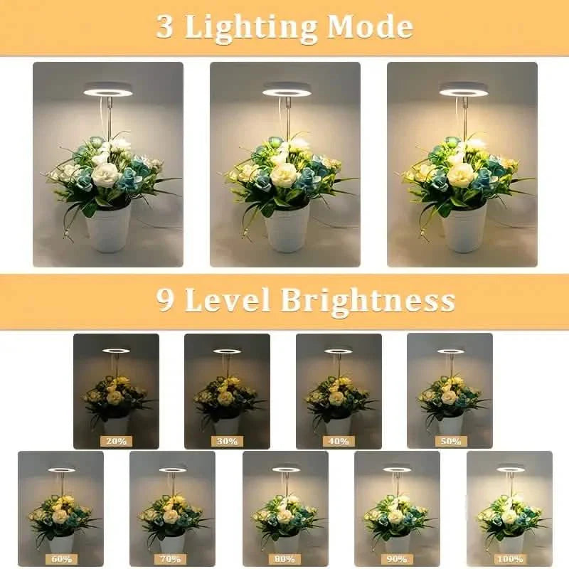 Full Spectrum LED Halo Plant Light With Stand Height Adjustable Auto Timer by DailySale