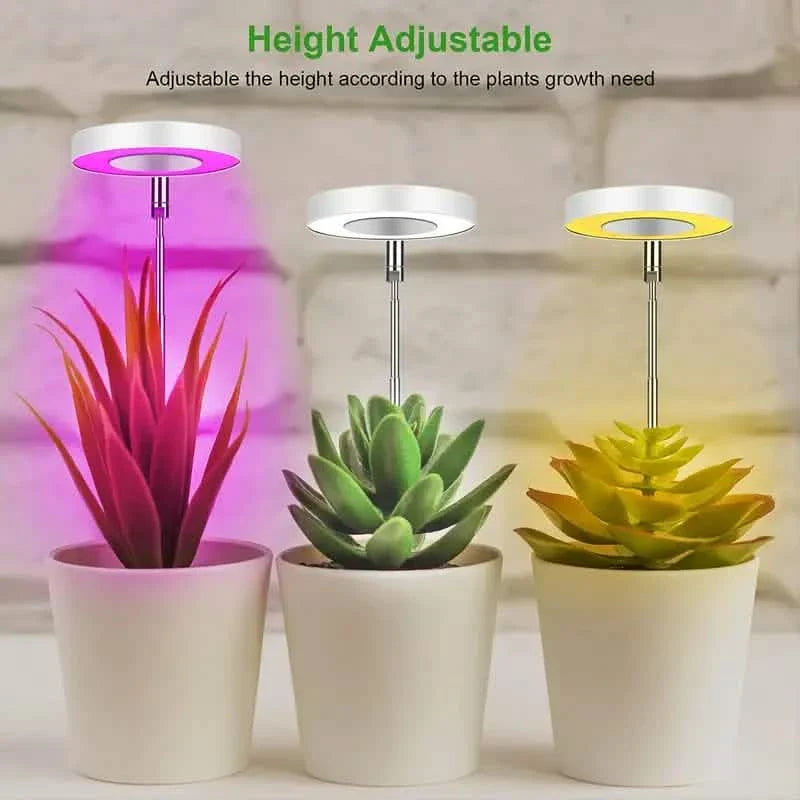 Full Spectrum LED Halo Plant Light With Stand Height Adjustable Auto Timer by DailySale
