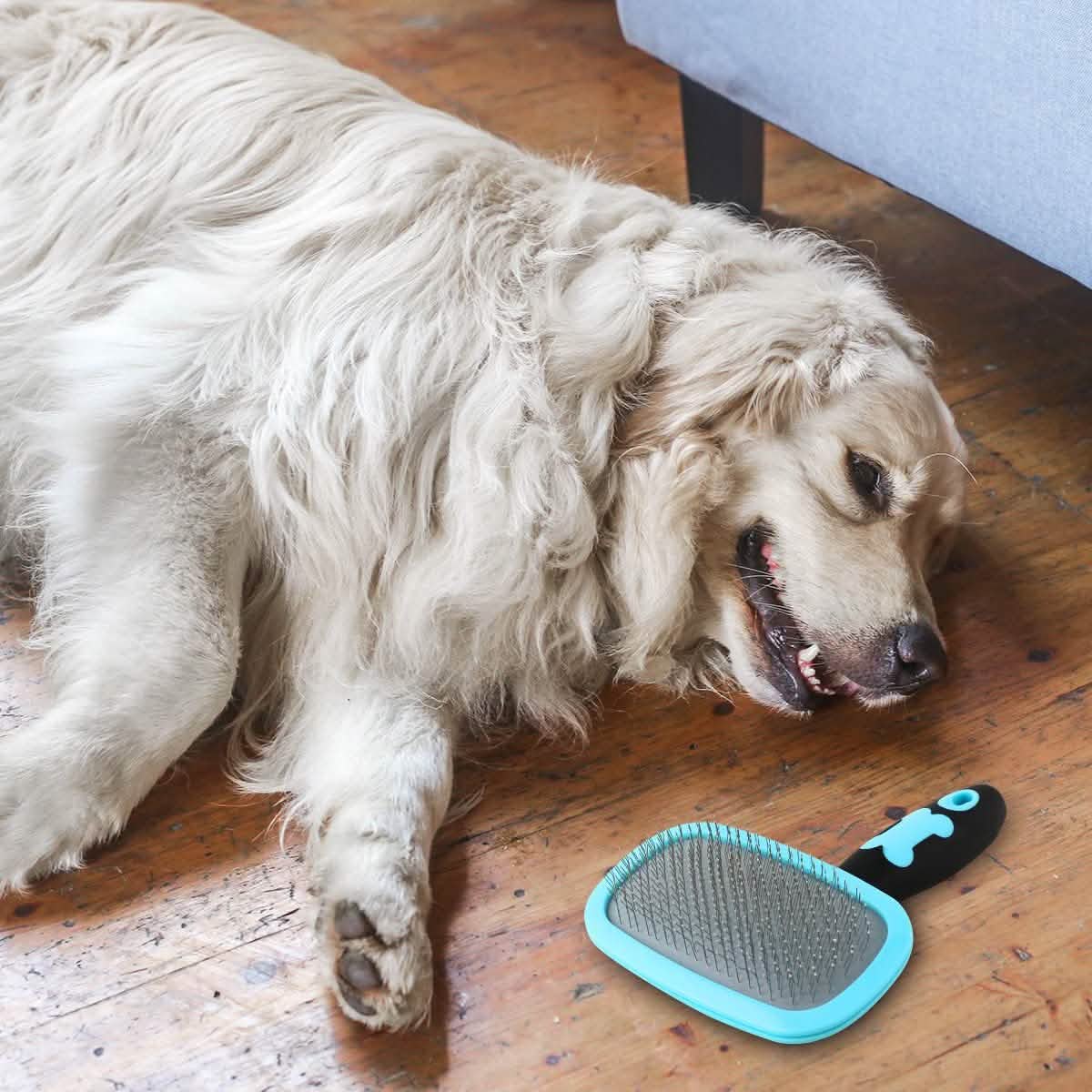 Glendan Dog Brush & Cat Brush - Slicker Pet Grooming Brush by DailySale