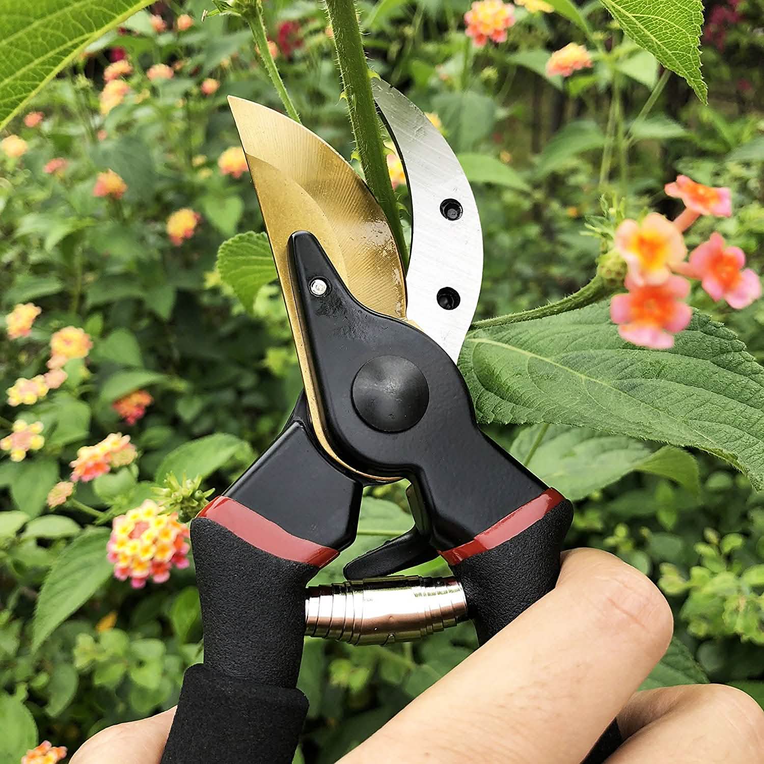 Gonicc 8" Professional Premium Titanium Bypass Pruning Shears by DailySale